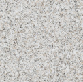 sahara